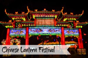 Chinese lantern festival 2
