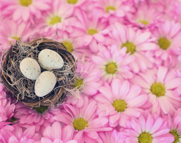 Cosa fare nei giorni di Pasqua a Monza e dintorni 6