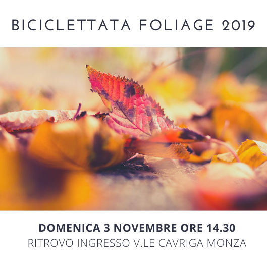 Biciclettata Foliage nel Parco di Monza - Monzareale