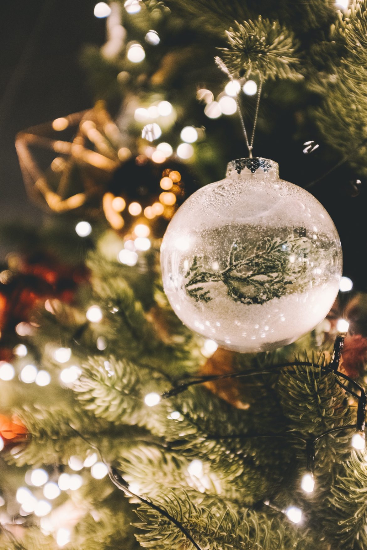 L Albero Di Natale.L Albero Di Natale Della Regina Margherita Di Savoia Monzareale